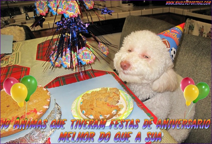 animais niver