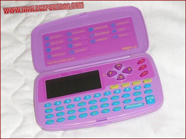 Dear Diary toy  Source: Wiki