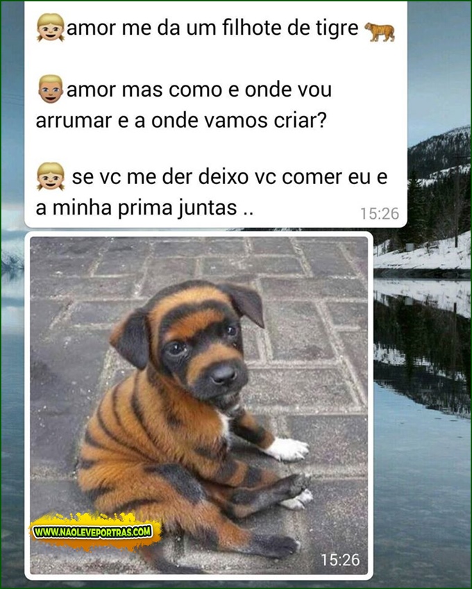 filhote de tigre