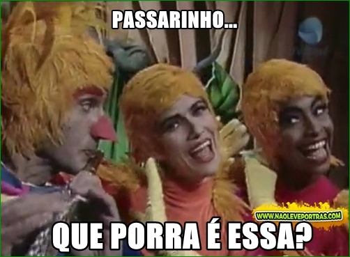 PASSARINHO MEME