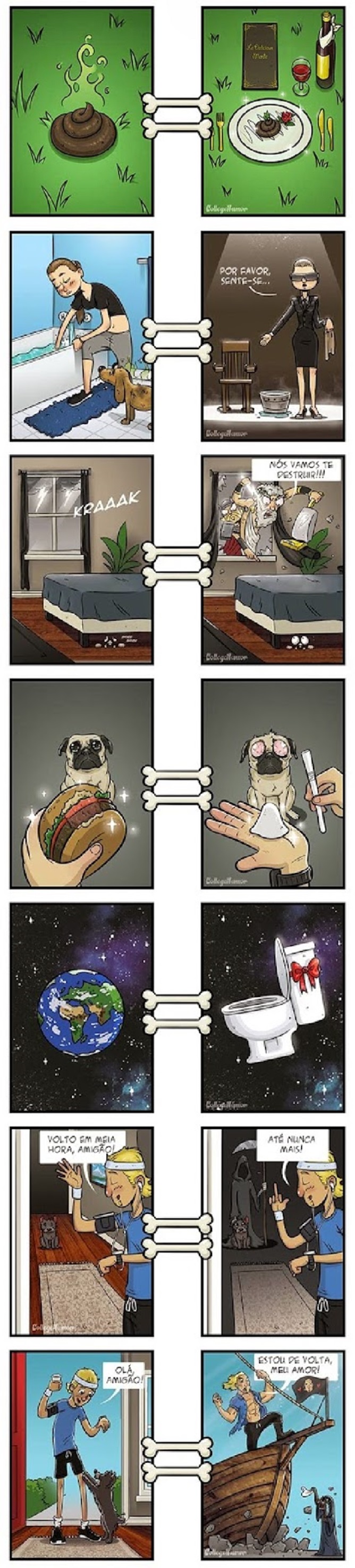como os caes veem o mundo