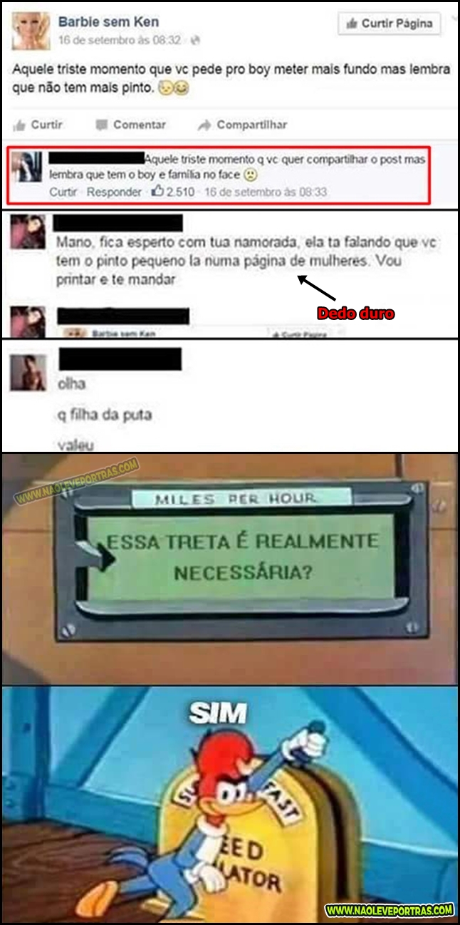 mulheres-falando-de-pinto-vert