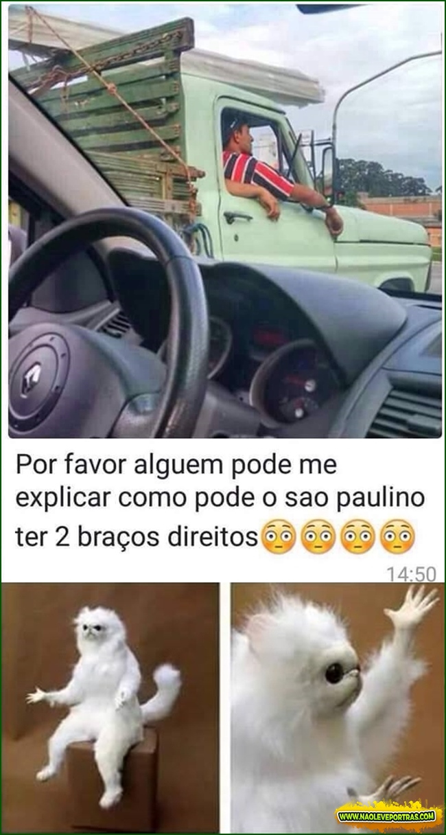 sãopaulino no colo