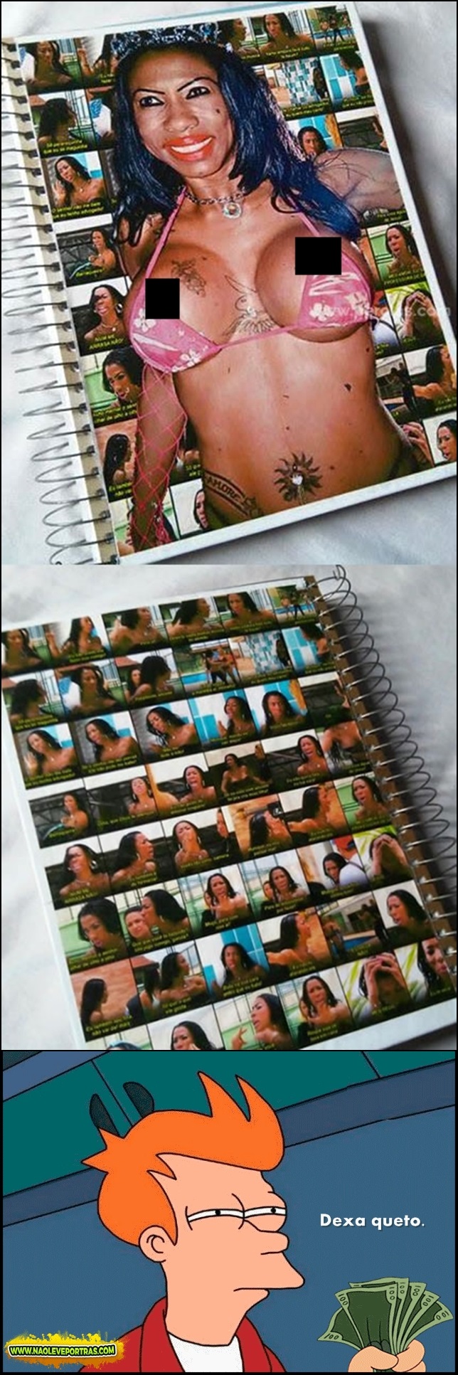 caderno ines brasil