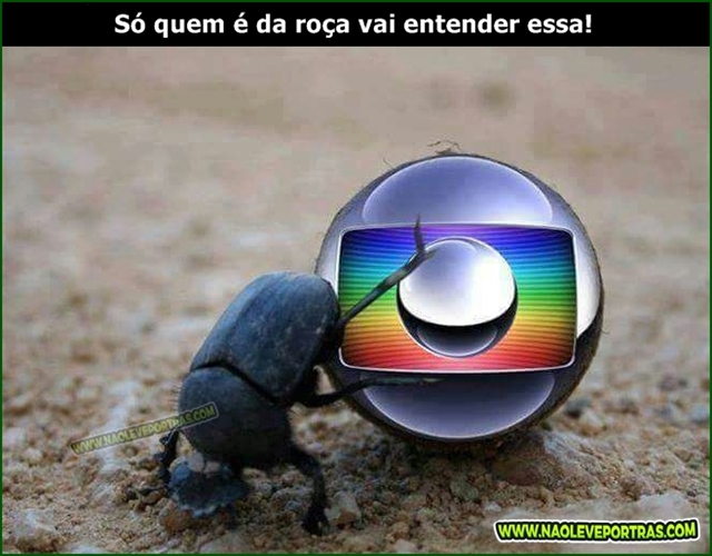 86177b04-f9ad-4ab3-84d7-edb9e18e6350