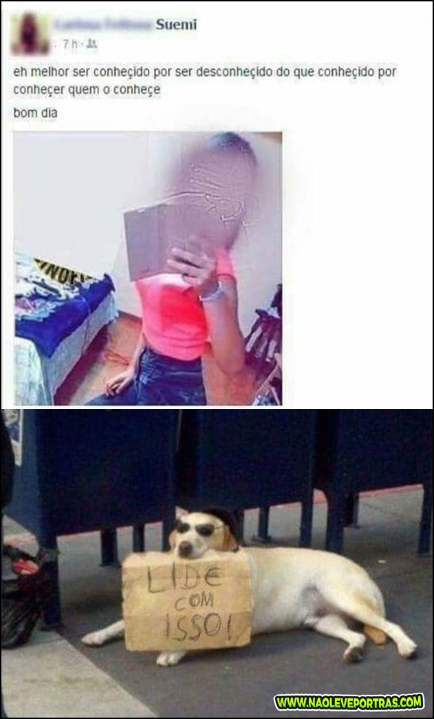 humor blog