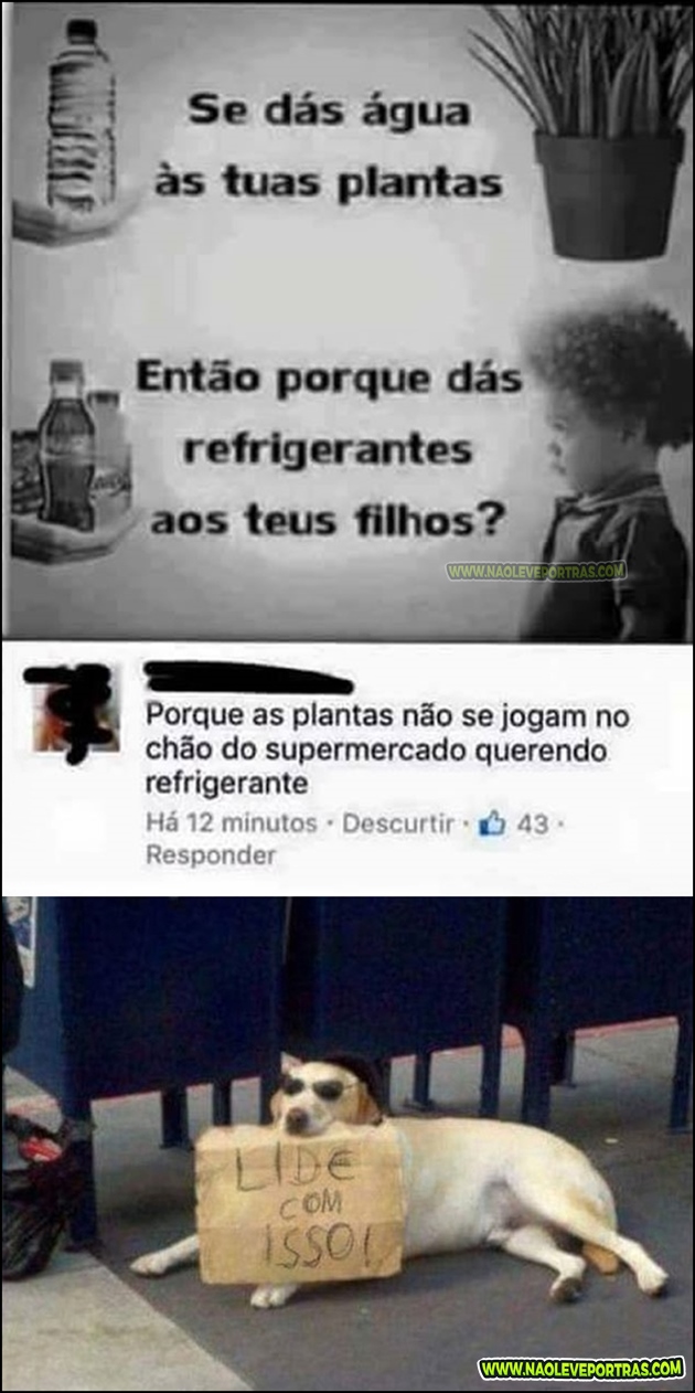 melhor-patada de hoje