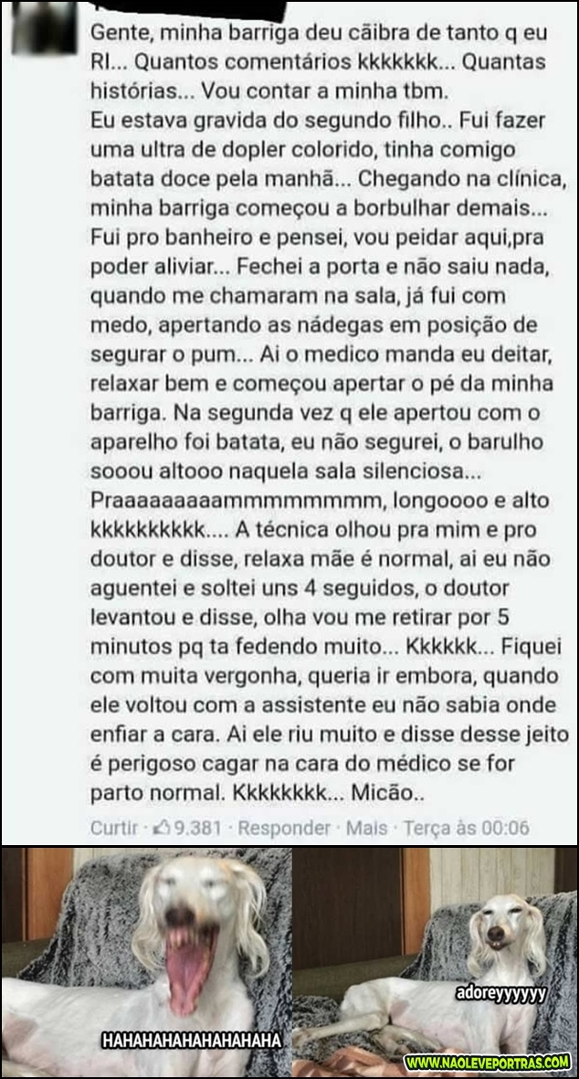 peidaoo