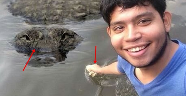 Selfie com crocodilo