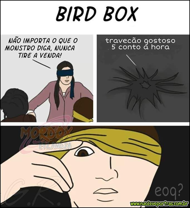 bird box meme
