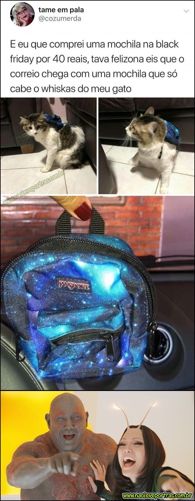 mochila pro gato