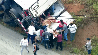Aquele momento que tomba um caminhão de carne, e a população corre pra salvar o motorista