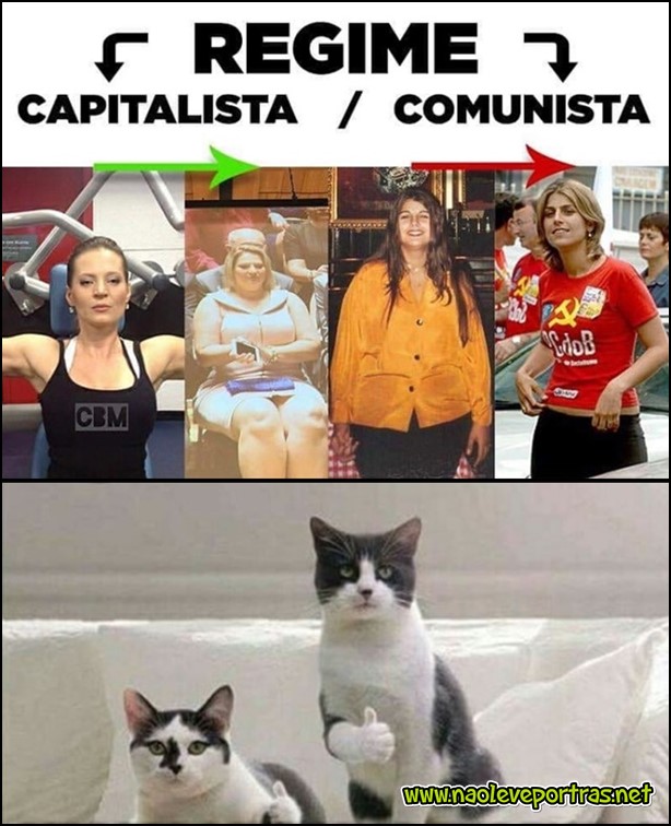 capitalismo meme