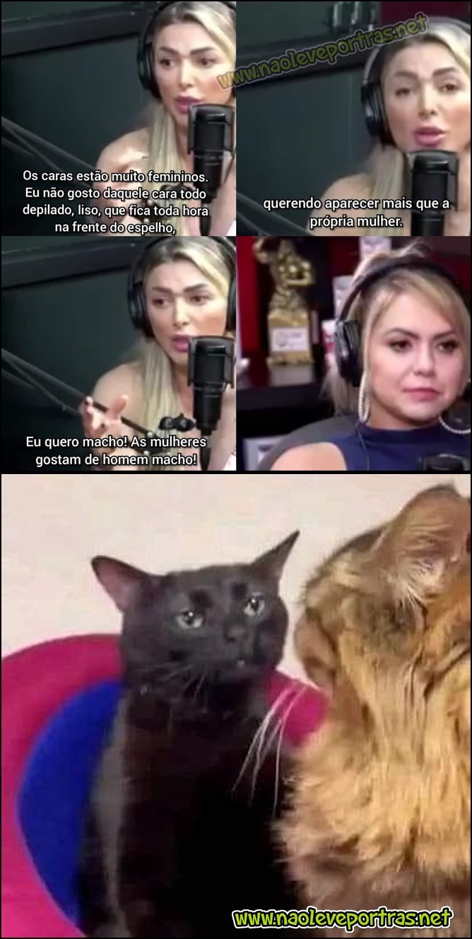 A muié fez a cara do gato do meme