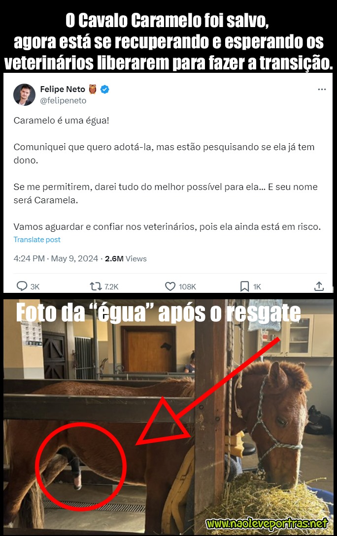 memem cavalo caramelo