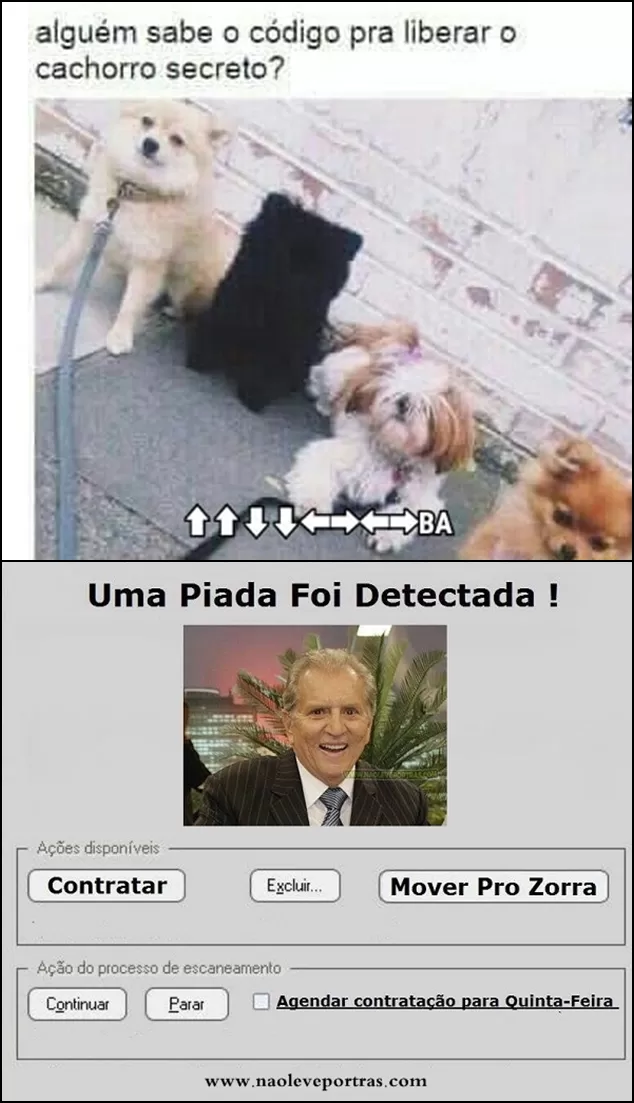 cachorro secreto